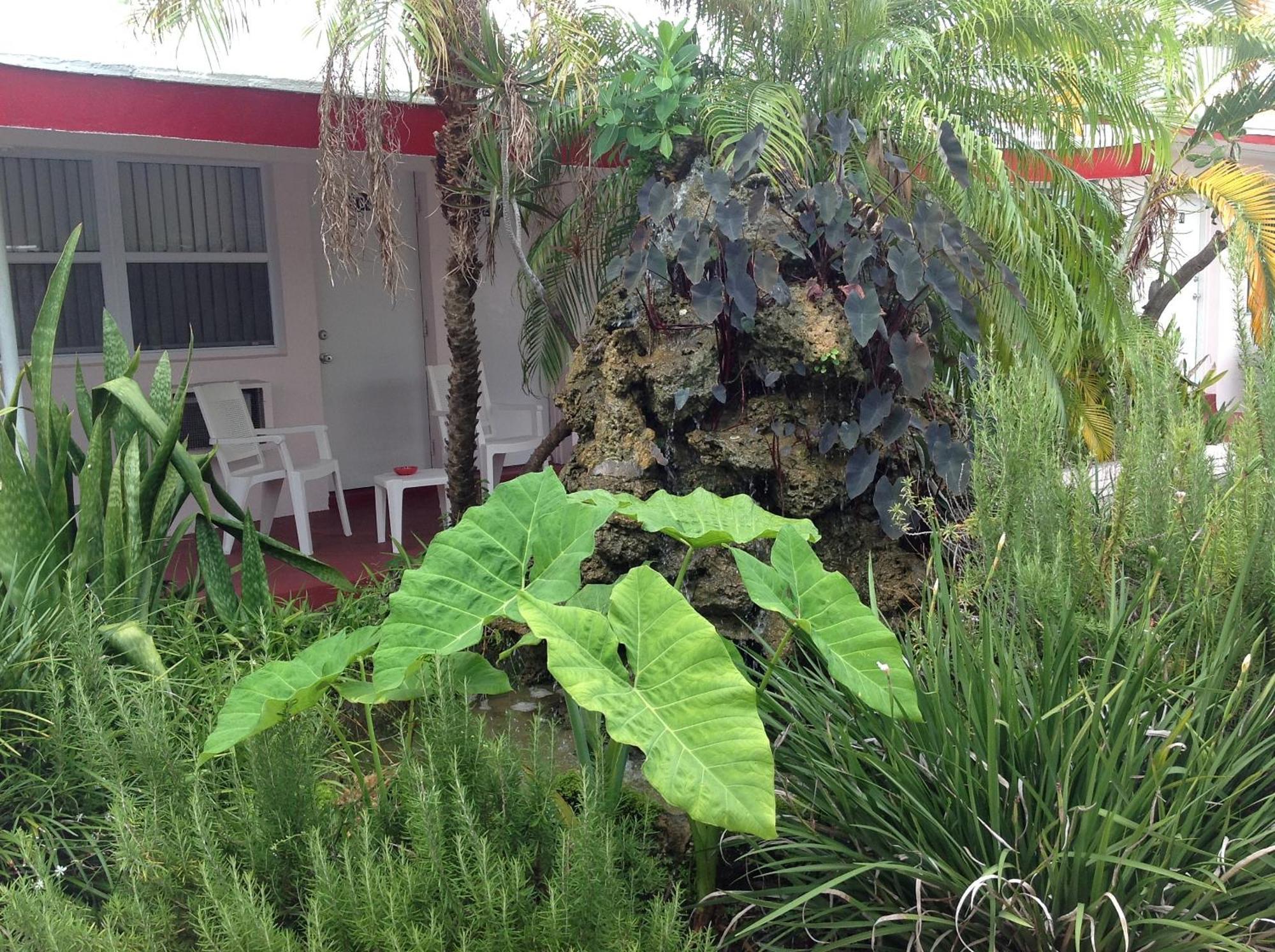 Birch Patio Motel Fort Lauderdale Kültér fotó